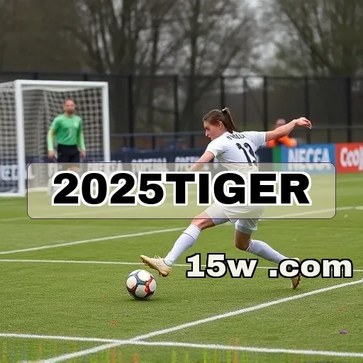 2025tiger plataforma Dicas de Jogo